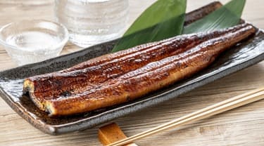 プロが手掛けたうなぎ料理