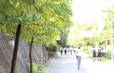 通学路の画像